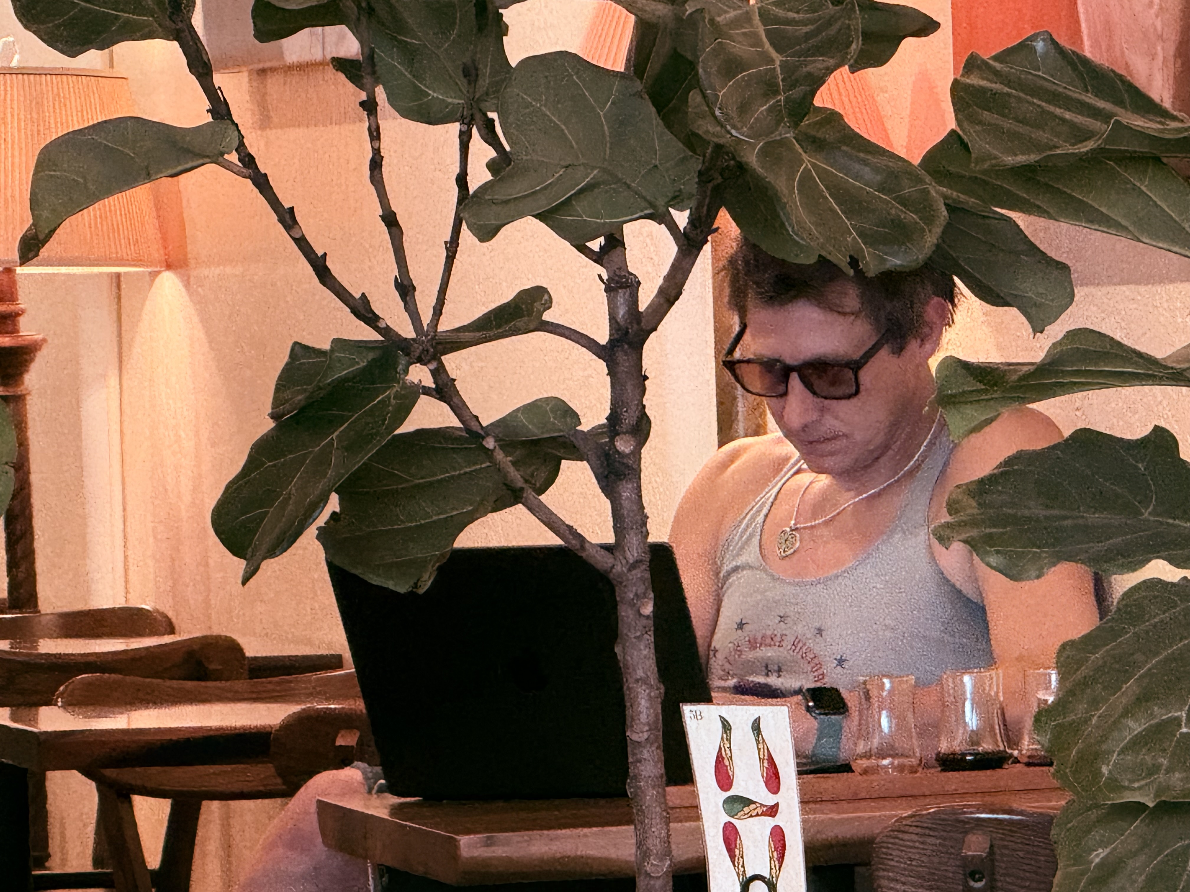 Patrick working under the fig tree